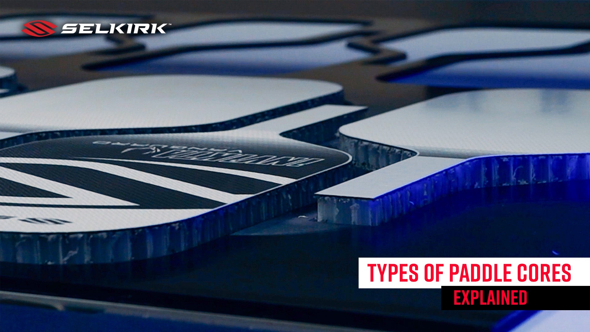 Exploring the Evolution of Pickleball Paddle Cores: Past, Present, and Future thumbnail image